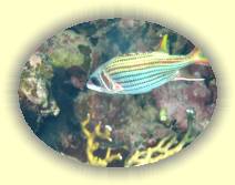 IMG_2007_05_29 13_54_28 * 3072 x 2304 * (843KB)